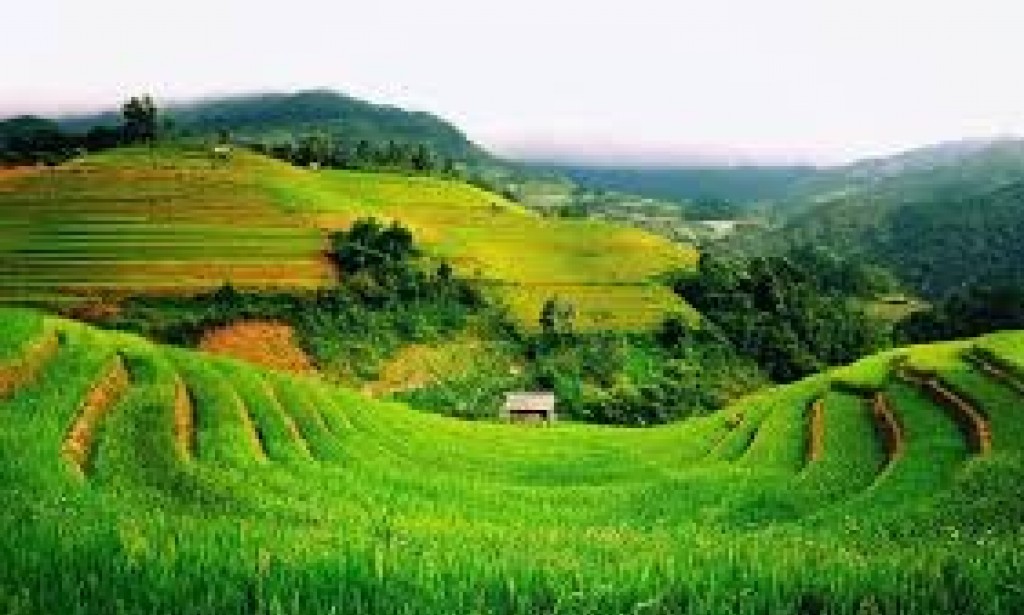 Syarat Pagang Gadai Harato Pusako di Minangkabau