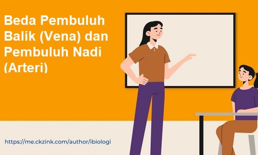 Perbedaan Pembuluh Nadi (Arteri) & Pembuluh Balik (Vena)