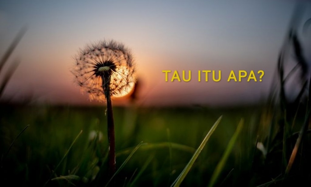 Tau Itu Apa?